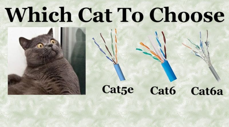 Cat Ethernet Cable choices. What Cat cable for your business